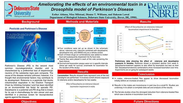 Ameliorating the effects of an environmental toxin in a Drosophila model of Parkinson’s Disease