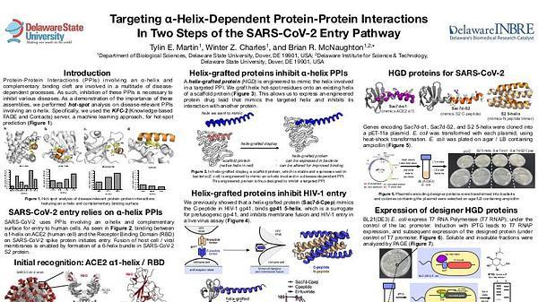 Targeting α-Helix-Dependent Protein-Protein Interactions In Two Steps of the SARS-CoV-2 Entry Pathway