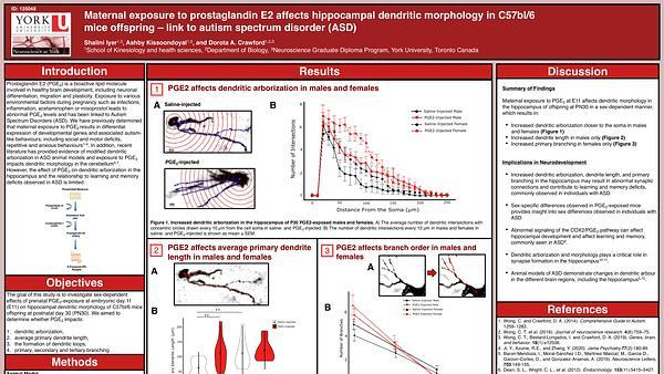 Maternal exposure to prostaglandin E2 affects hippocampal dendritic morphology in C57bl/6 mice offspring - link to autism spectrum disorder (ASD)