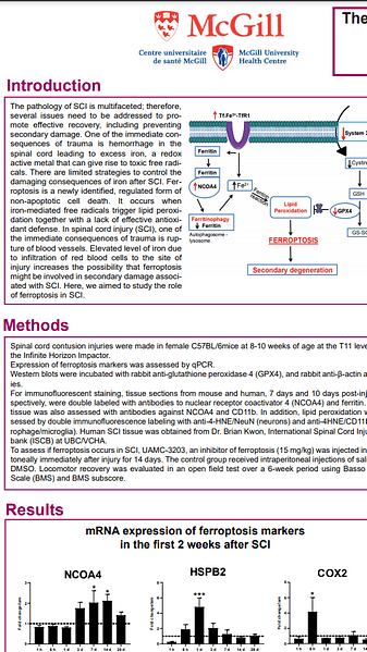 The role of ferroptosis in iron toxicity following spinal cord injury