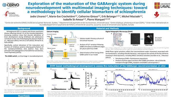 Exploration of inhibitory system maturation in neuronal cultures with multimodal imaging techniques: toward a methodology to identify cellular biomarkers of schizophrenia