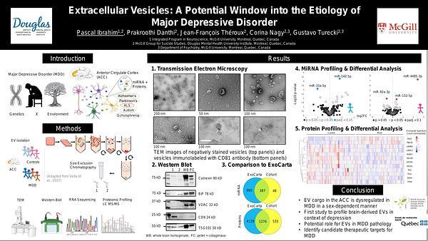 Extracellular vesicles: a window into the etiology of major depressive disorder