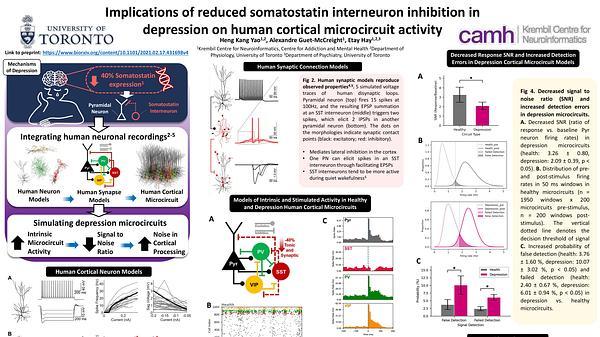 Reduced inhibition in depression impairs stimulus processing in human cortical microcircuits