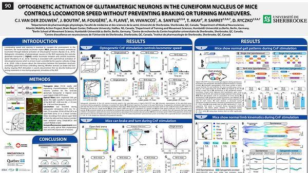 Optogenetic activation of glutamatergic neurons in the cuneiform nucleus controls locomotor speed without preventing braking or turning maneuvers in mice