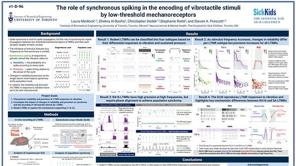 The role of synchronous spiking in the encoding of vibrotactile stimuli by low-threshold mechanoreceptors