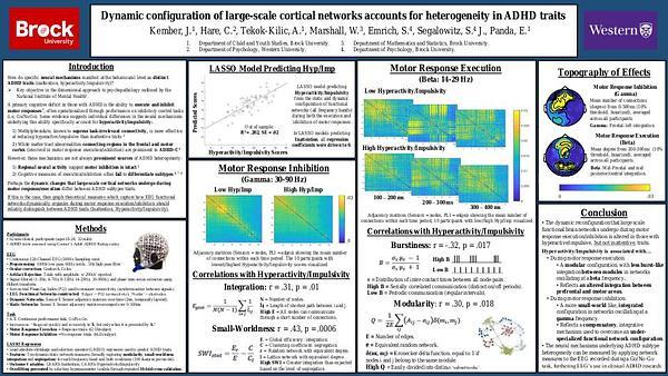 The segregation of task-based EEG networks into functionally specialized systems is reduced in those with hyperactive traits