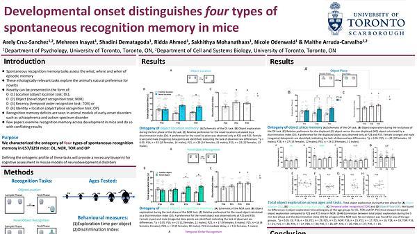 Developmental onset distinguishes three types of spontaneous recognition memory in mice