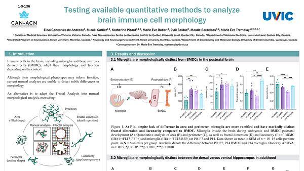 Testing available quantitative methods to analyze brain immune cell morphology