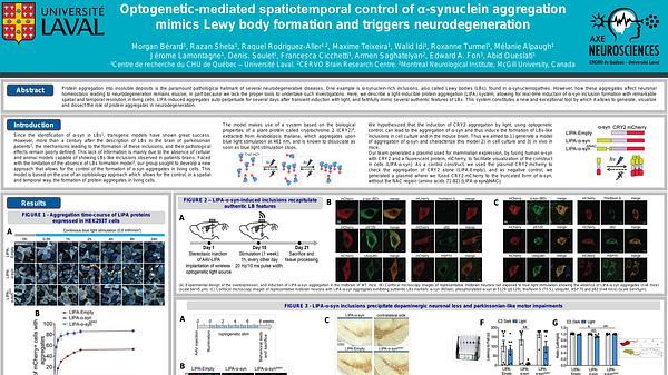 Optogenetic-mediated spatiotemporal control of α-synuclein aggregation mimics Lewy body formation and triggers neurodegeneration