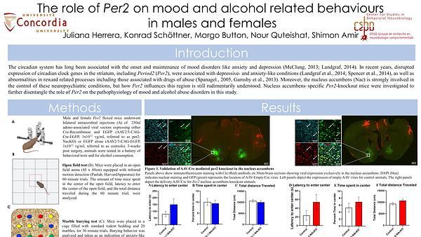 The role of Per2 on mood and alcohol related behaviours in males and females