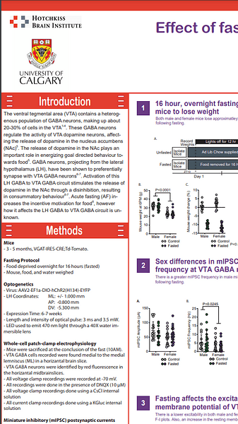 Effect of fasting on lateral hypothalamus GABA to ventral tegmental area GABA synapses