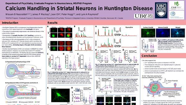 Calcium handling in striatal neurons in Huntington disease