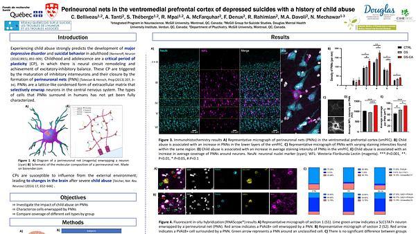 Perineuronal nets in the ventromedial prefrontal cortex of depressed suicides with a history of child abuse