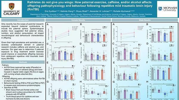 Rathletes do not give you wings: How paternal exercise, caffeine, and/or alcohol affects offspring pathophysiology and behaviour following repetitive mild traumatic brain injury (RmTBI)