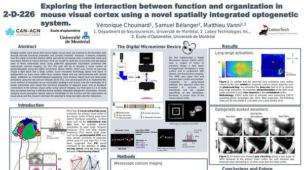 Exploring the interaction between function and organization in mouse visual cortex using a novel spatially integrated optogenetic system