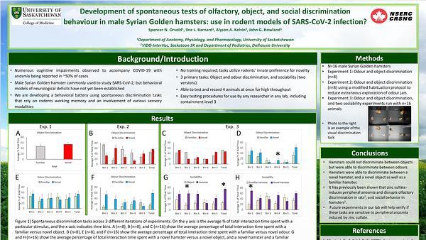 Development of spontaneous tests of olfactory, object, and social discrimination behaviour in male golden hamsters: use in rodent models of SARS-CoV-2 infection?