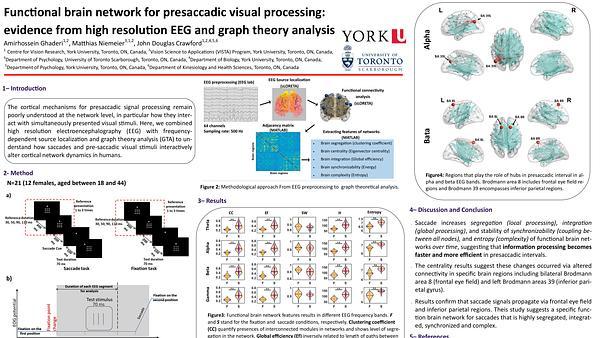 Functional brain network for presaccadic visual processing: evidence from high resolution EEG and graph theory analysis