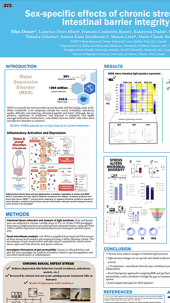 Sex-specific effects of chronic stress on intestinal permeability and depression-like behaviors