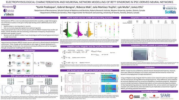 Electrophysiological characterization of Rett Syndrome in iPSC-derived neuronal networks using computational network modeling