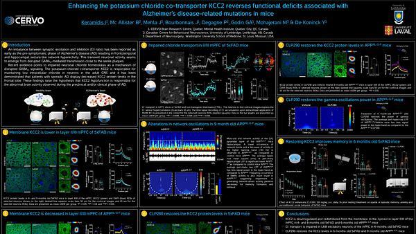 Enhancing the potassium chloride co-transporter KCC2 reverses functional deficits associated with Alzheimer's disease-related mutations in mice