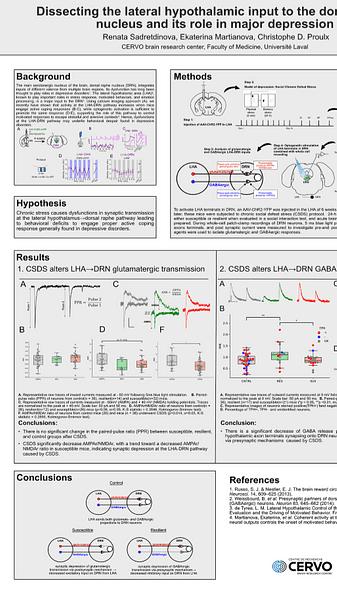 Dissecting the lateral hypothalamic input to the dorsal raphe nucleus and its role in major depression