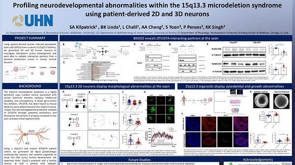 Investigating neurodevelopmental and axonal defects in human models of the 15q13.3 microdeletion disorder