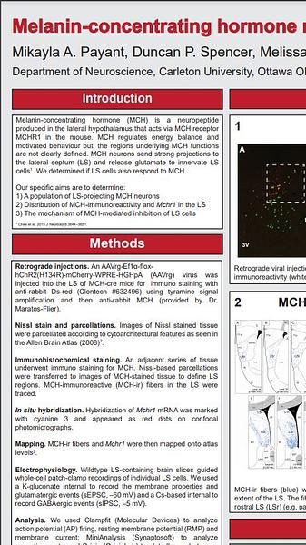 Melanin-concentrating hormone mediated inhibition of lateral septum neurons