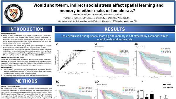 Would short-term, indirect social stress affect spatial learning and memory in either male, or female rats?