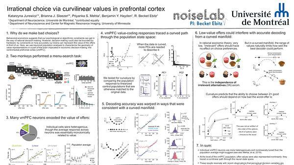 Irrational choice via curvilinear value geometry in ventromedial prefrontal cortex