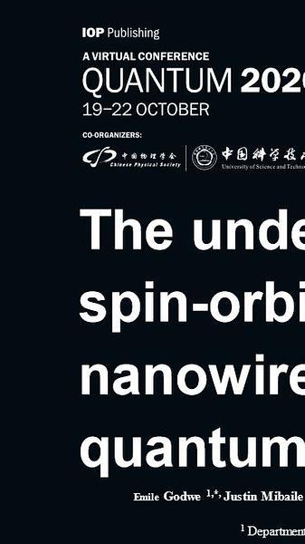 The understanding of spin-orbit effects in a nanowire double quantum dots system