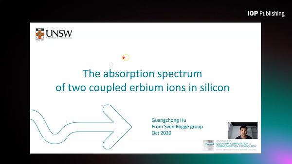 The absorption spectrum of two coupled erbium ions in silicon