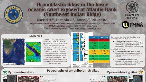 Granoblastic dikes in the lower oceanic crust exposed at Atlantis Bank (Southwest Indian Ridge)