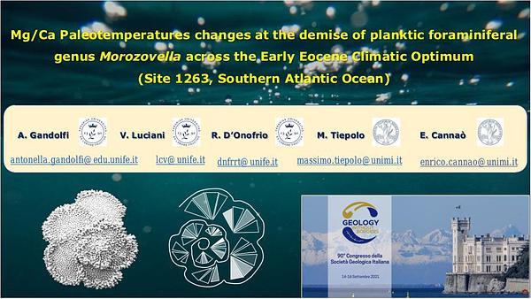 Mg/Ca Paleotempertures changes at the demise of plankic foraminiferal genus Morozovella across the Early Eocene Climatic Optimum  (Site 1263, Southern Atlantic Ocean)