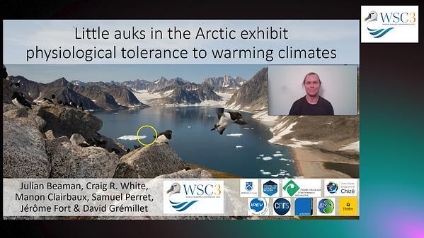 Does physiological adaptation to cold predispose little auks (Alle alle) to increased risk of hyperthermia in a warming Arctic?