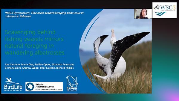 Fine scale seabird foraging behaviour in relation to fisheries