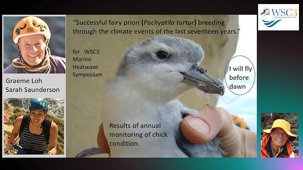 Successful fairy prion (Pachyptila turtur) breeding through the climate events of the last seventeen years