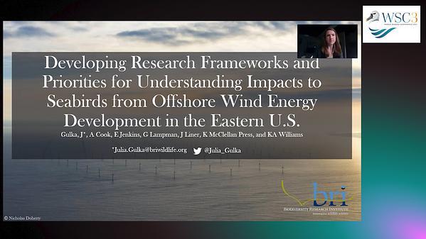 Developing research frameworks and priorities for understanding impacts to seabirds from offshore wind energy development in the eastern U.S.