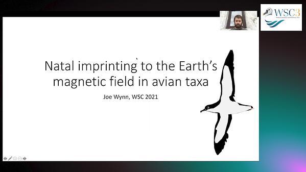 Magnetoreception in seabirds