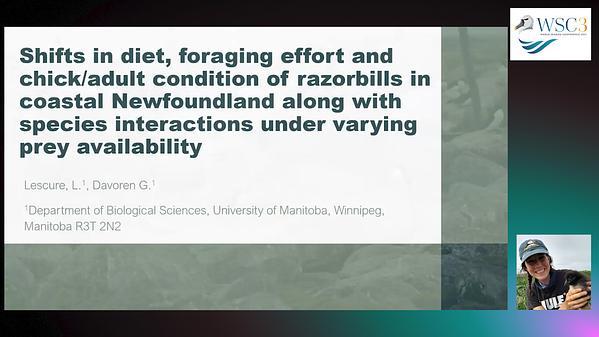 Shifts in diet, foraging effort and chick/adult condition of razorbills in coastal Newfoundland along with species interactions under varying prey availability