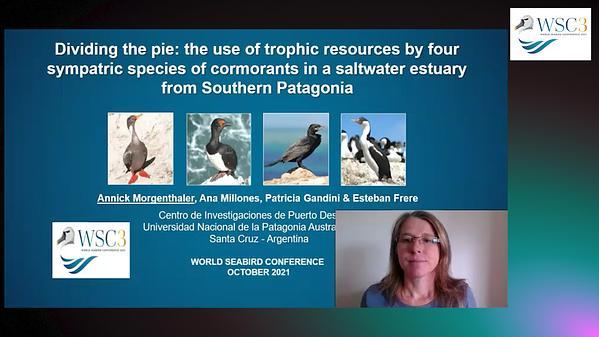 Dividing the pie: the use of trophic resource by four sympatric species of cormorants in a saltwater estuary from Southern Patagonia