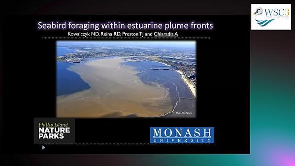 Foraging habitat preference of an inshore seabird within estuarine plume fronts