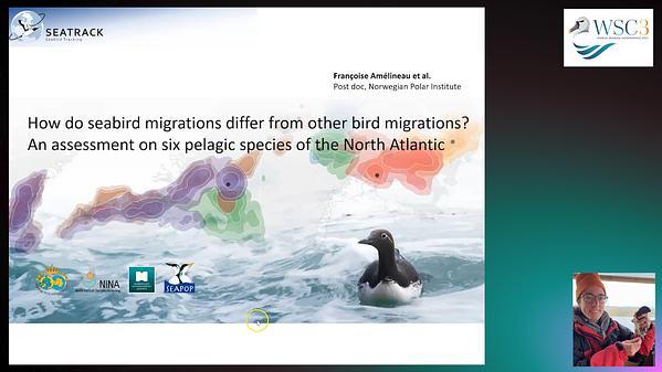 How do seabird migrations differ from other bird migrations? An assessment on six pelagic species of the North Atlantic