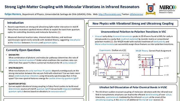 Strong light-matter coupling with molecular vibrations in infrared resonators