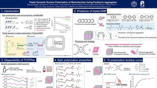 Triplet Dynamic Nuclear Polarization of Biomolecules Using Porphyrin Aggregates