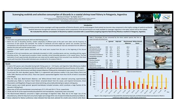 Scavenging seabirds and selective consumption of discards in a coastal shrimp trawl fishery in Patagonia, Argentina