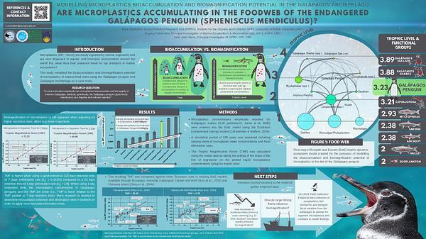 Are microplastics accumulating in the foodweb of the endangered Galápagos Penguin, Spheniscus mendiculus? Modelling microplastics bioaccumulation and biomagnification potential in the Galápagos Archipelago