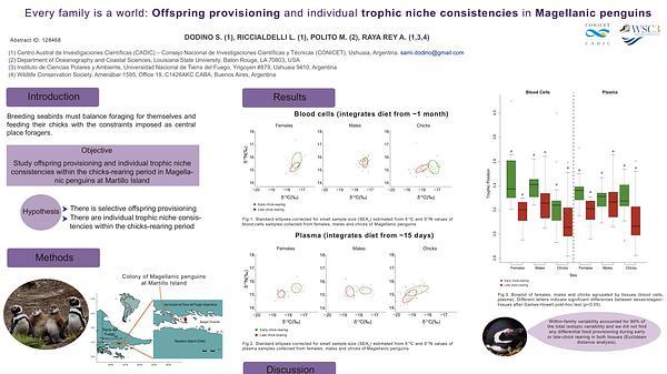 Every family is a world: Offspring provisioning and individual trophic niche consistencies in Magellanic penguins