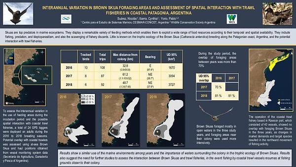 Interannual variation in Brown Skua foraging areas and assessment of spatial interaction with trawl fisheries in coastal Patagonia, Argentina