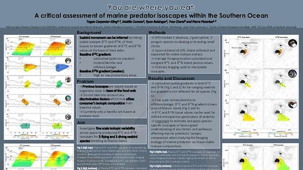 You are where you ate: A critical assessment of marine predator isoscapes within the Southern Indian Ocean