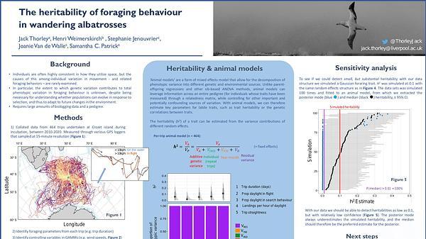 The heritability of foraging behaviour in wandering albatrosses